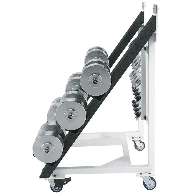 Adjustable Dumbbells Poles Apart® - Heavy Set #2