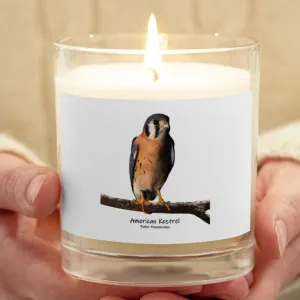 American Kestrel Glass Jar Soy Wax Candle