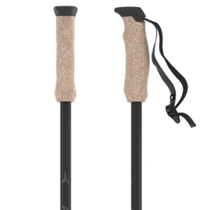 AMT Carbon Ski Poles 2024