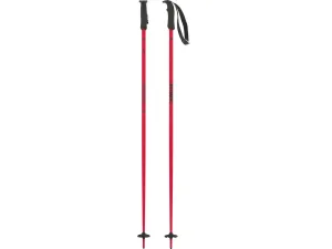 Atomic AMT Ski Poles