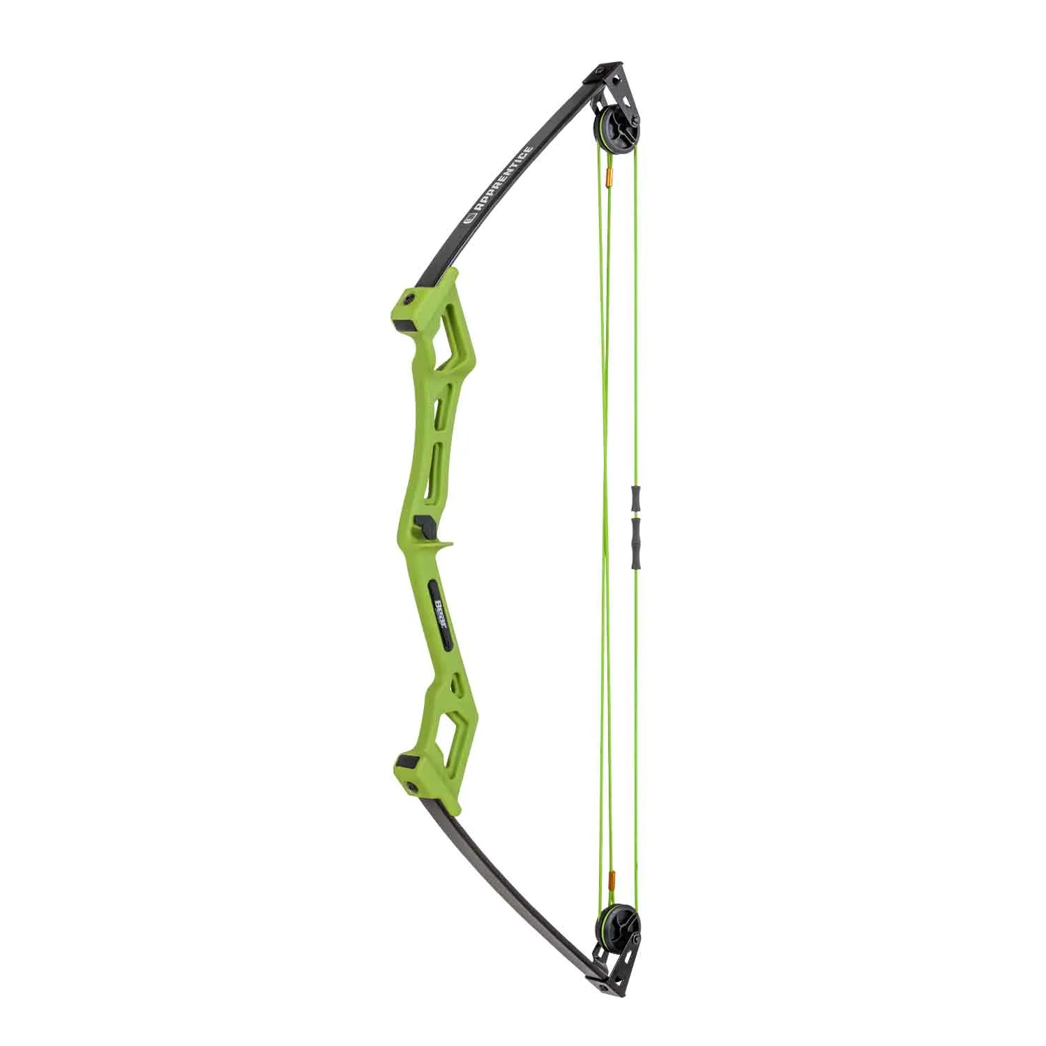 Bear Apprentice Compound Bow