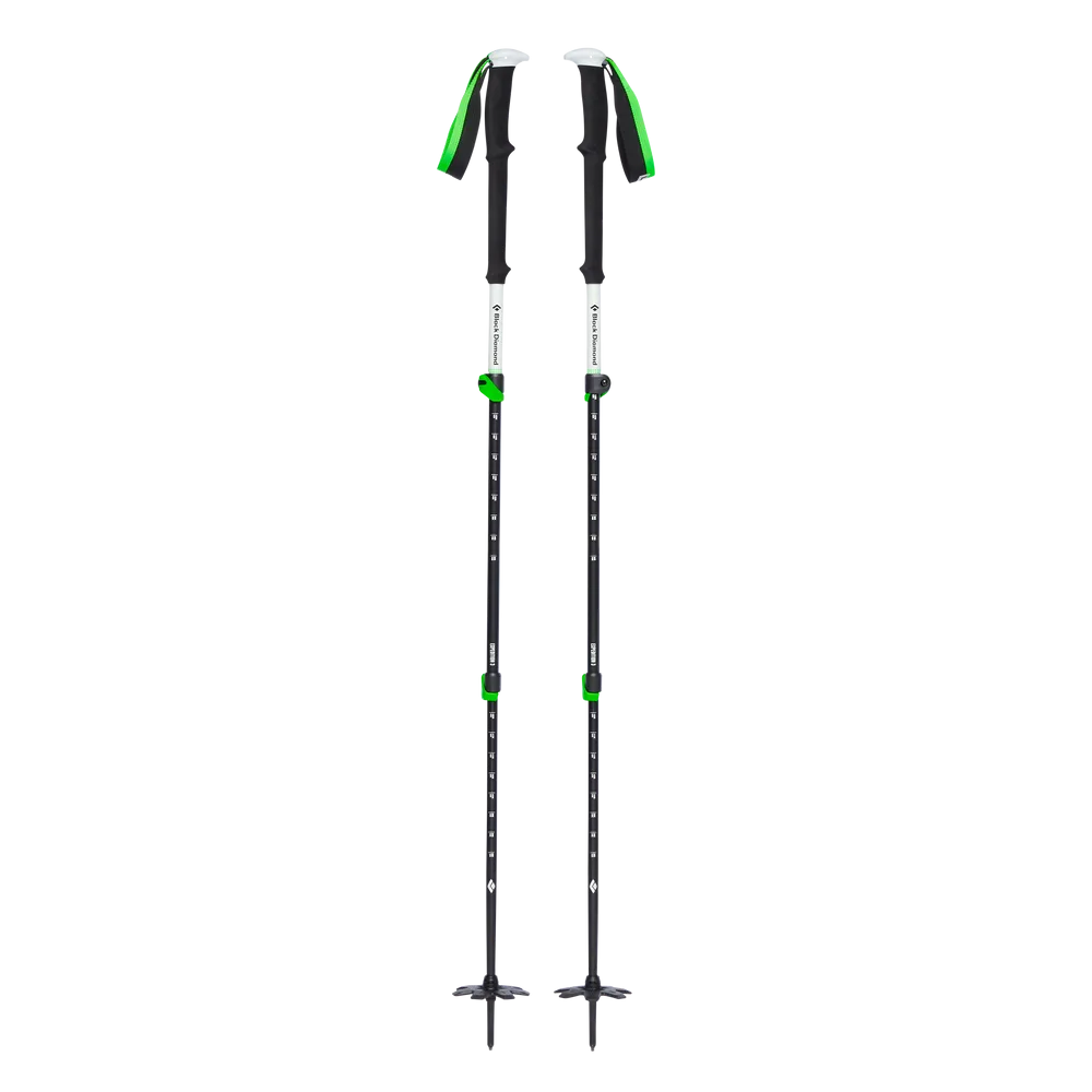 Black Diamond Expedition 3 Ski Poles - 2025