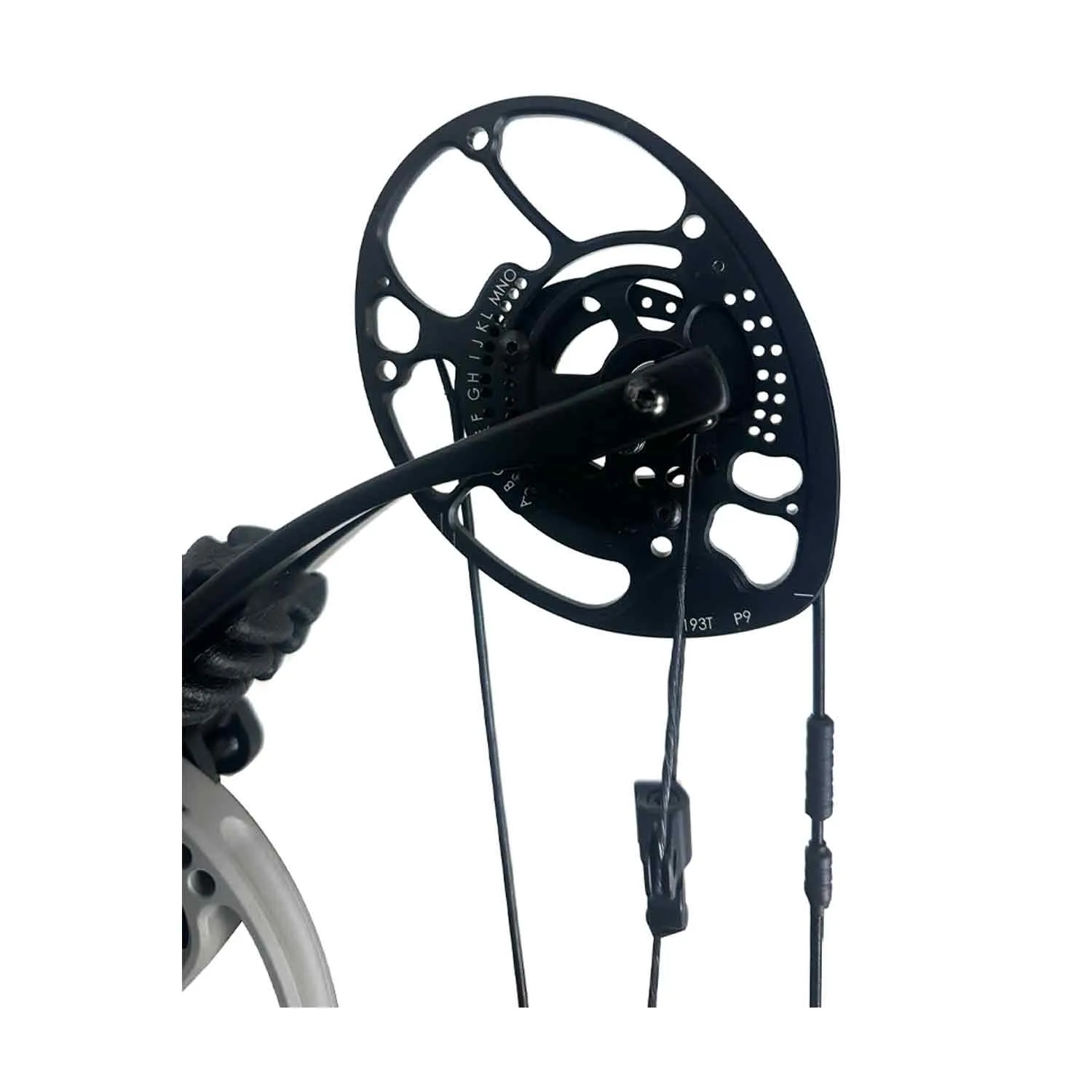 Darton Exodus Pro SD Compound Target Bow