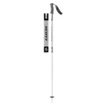 Element Ski Poles