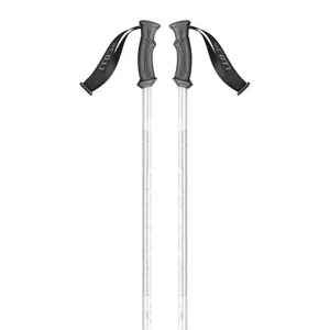 Element Ski Poles