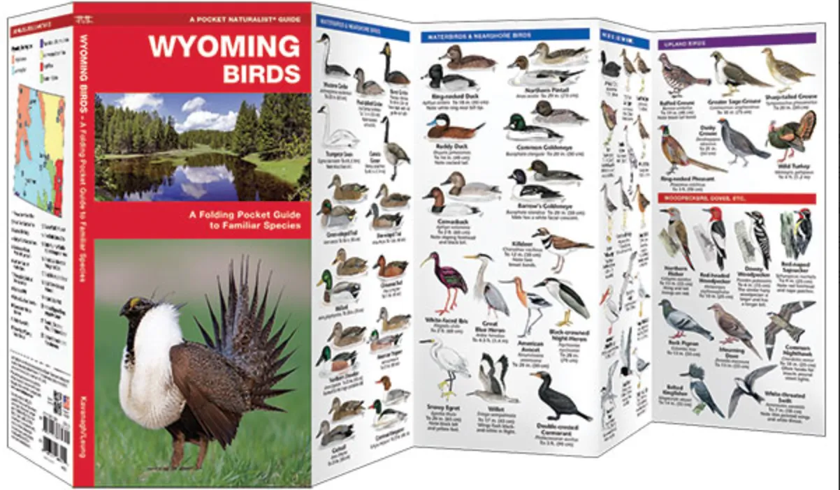 FOLDING POCKET GUIDE WYOMING BIRDS