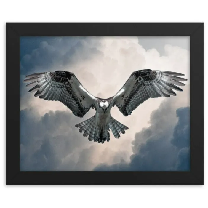 Hovering Osprey Framed poster