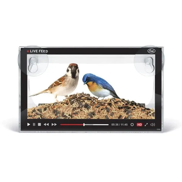 Howligans Live Feed Bird Feeder