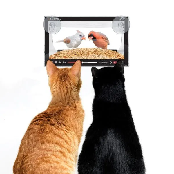 Howligans Live Feed Bird Feeder