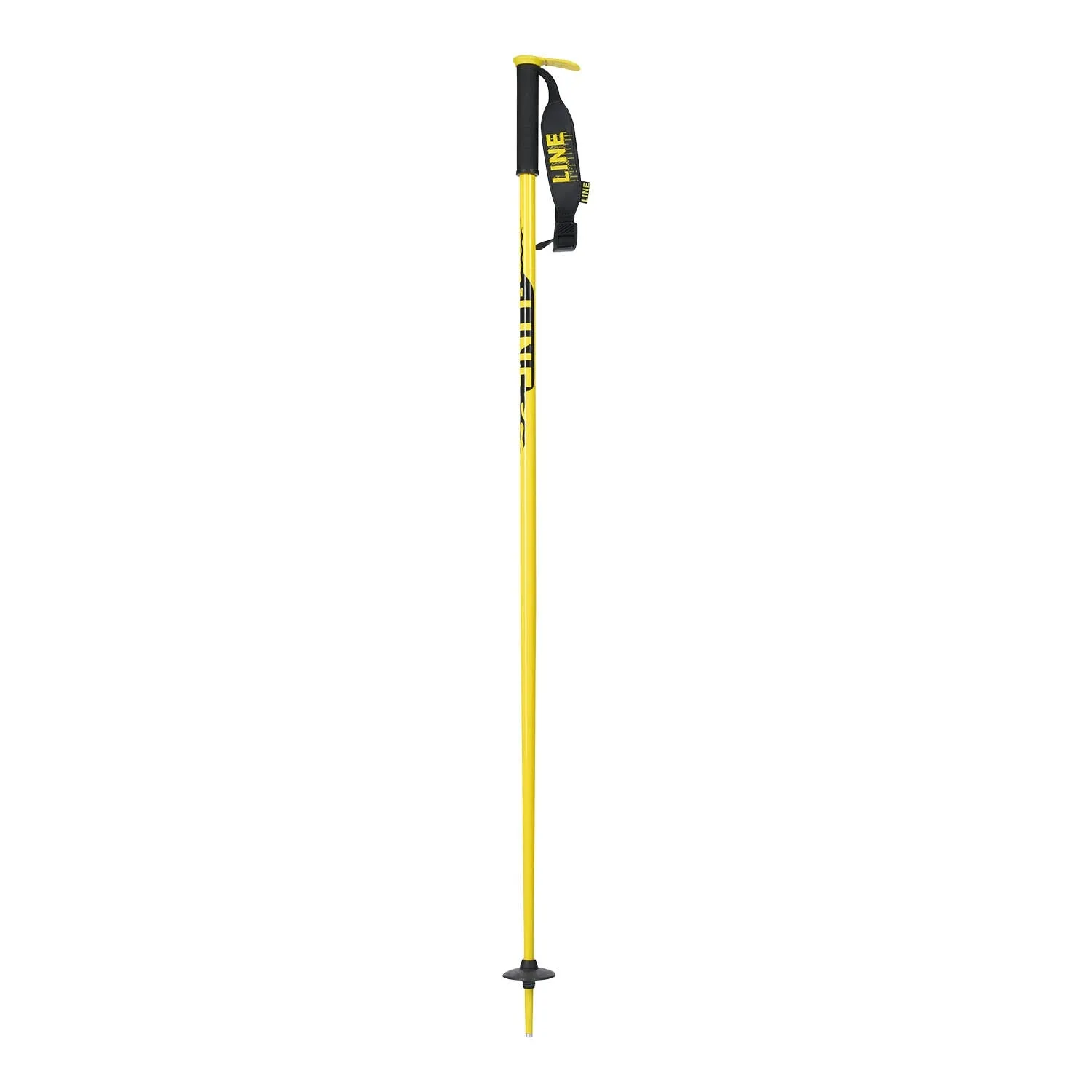 Pin Ski Poles 2024