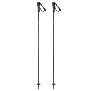 Salomon Arctic Ski Poles