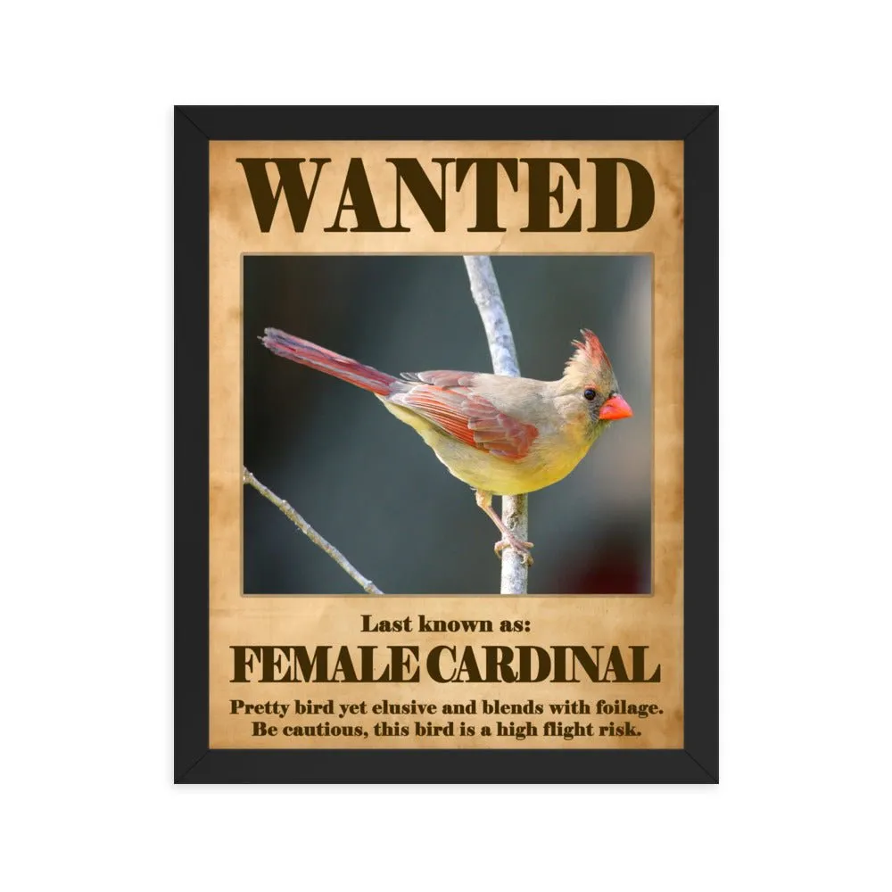 Wanted: Female Cardinal Framed Poster