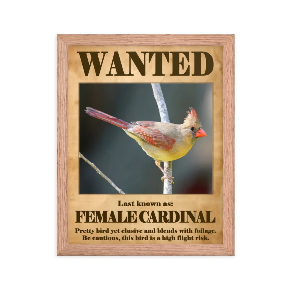 Wanted: Female Cardinal Framed Poster