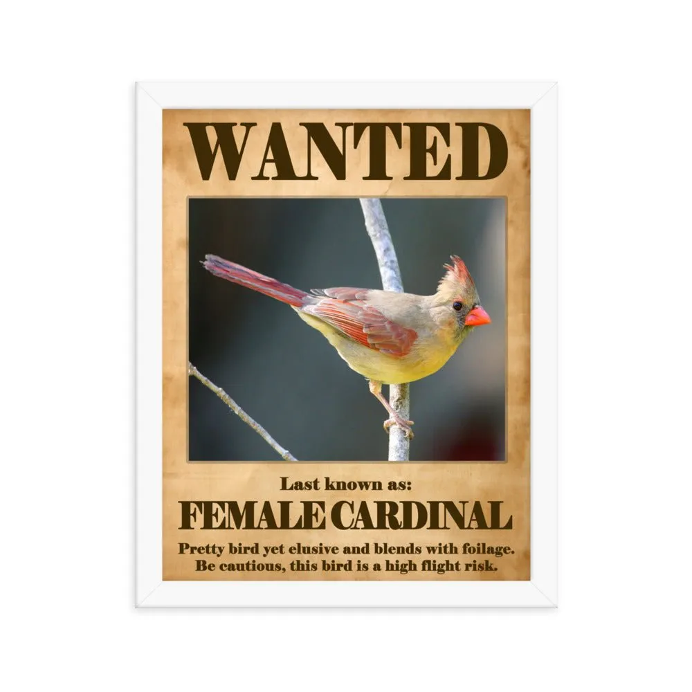 Wanted: Female Cardinal Framed Poster