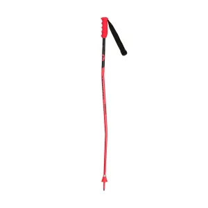 Youth Ski Poles Rossignol Hero GS Jr